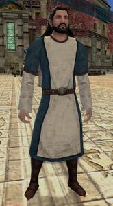 Dol Amroth Quartermaster (Heavy Armour) - Lotro-Wiki.com