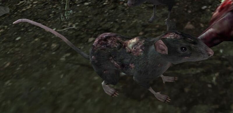 File:Diseased Rat (Dunland).jpg