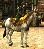 Image of Prized Malledhrim Pony