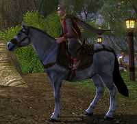 Image of Prized Grey Company Pony