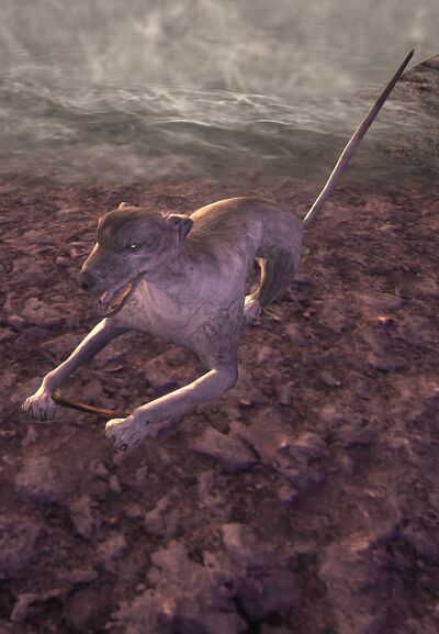 Astoryn - Lotro-Wiki.com