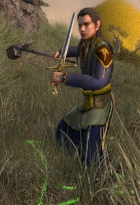 Image of Elf-warrior