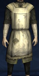 Gardener's Apron