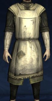 Gardener's Apron