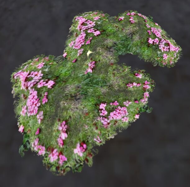 File:Bittercap Moss.jpg