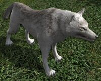 Growling Dusk-wolf.jpg