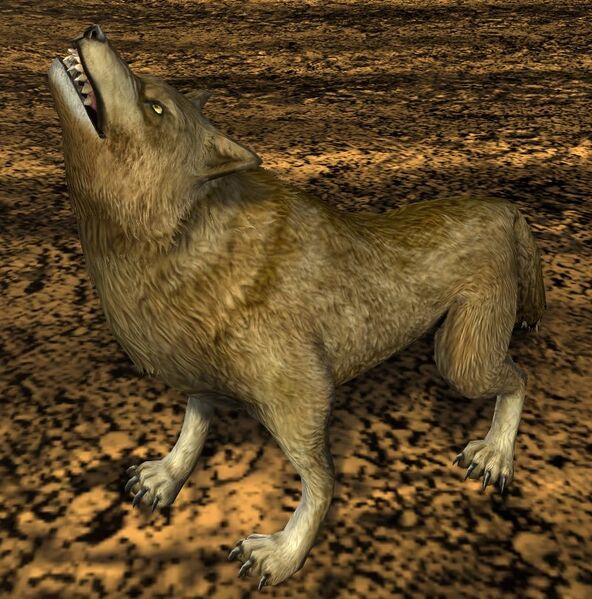 File:Snarling Wolf.jpg