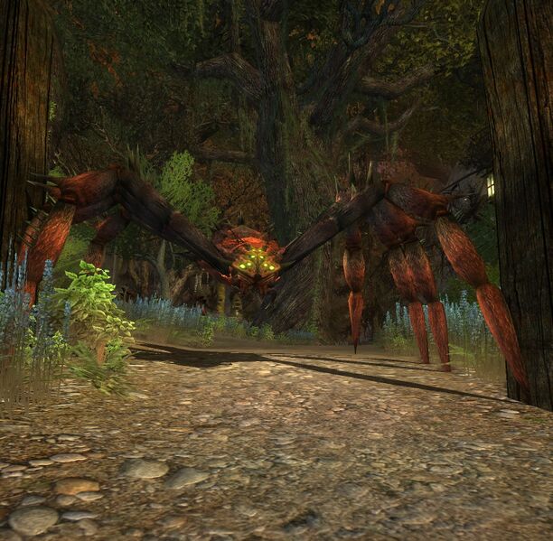 File:Strange Spider.jpg