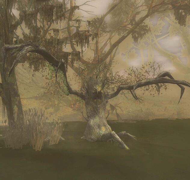 File:Kighân Blightwood (Mission).jpg