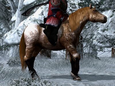 Shaggy Roan Coat: Dark Chestnut