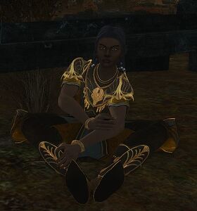 Image of Captive Scout