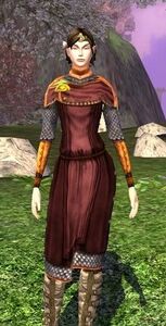 Plain Hauberk