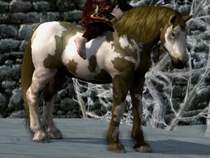 Overo Coat: Liver Chestnut