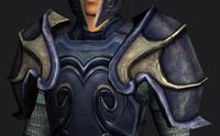 Rift-defender's Shoulders