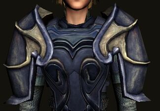 Rift-defender's Shoulders