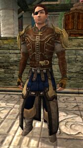Image of Dol Amroth Quartermaster (Burglar Armour)
