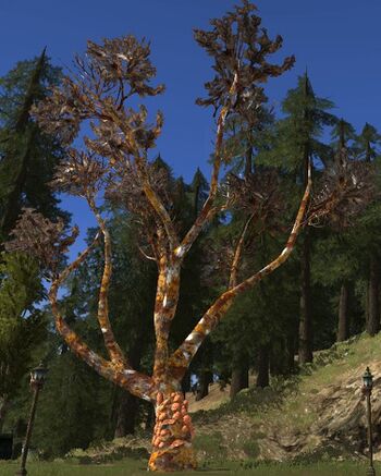 Large Moulder-wood (Red)