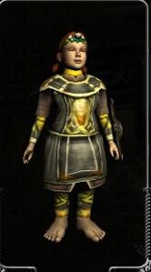 Dwarf-make Chain Hauberk