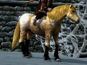 Shaggy Roan Coat: Dun