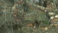 Thumbnail for version as of 16:22, 15 October 2025
