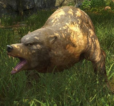 Wood-bear Mother - Lotro-Wiki.com