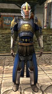 Image of Dol Amroth Quartermaster (Captain Armour)