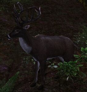 Image of Leaping Buck