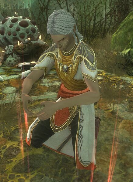 File:Lore-master Trader (Nagakhêdi).jpg