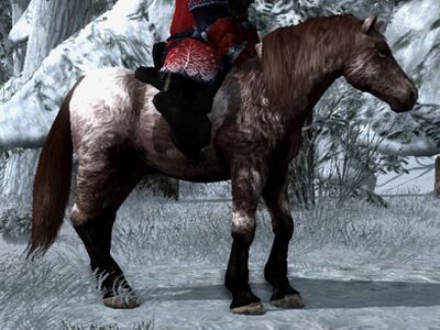 Shaggy Roan Coat: Black Chestnut