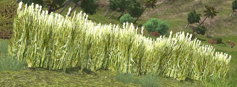 File:Sheaf of Wheat.jpg