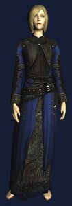 Travelling Robes of the Autumn Wanderer