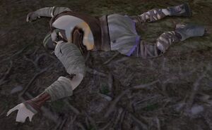 Image of Fallen Hunter