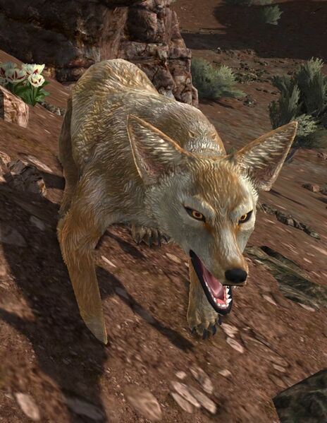 File:Idagâl Jackal.jpg