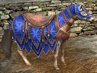 Image of Cozy Jingle Steed