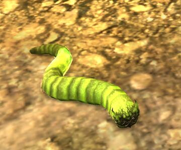 Green Glow Worm