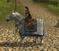 Image of Steed of the White City Pony