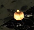 Thumbnail for version as of 18:49, 6 September 2025