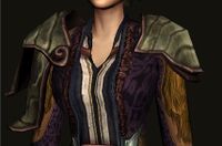 Ceremonial Wandering Bard's Shoulders