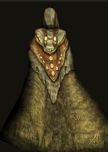 Ceremonial Cloak of Ajokoira