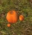 Thumbnail for version as of 10:46, 9 October 2025