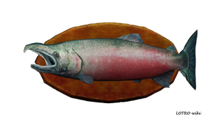 30-pound Salmon