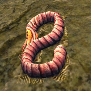 Bog-crawler - Lotro-Wiki.com