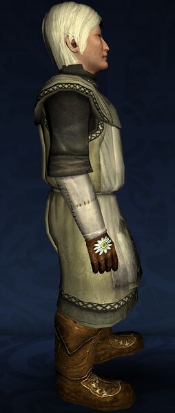 File:Gardener's Garments (Hobbit M Side).jpg
