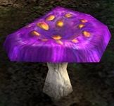 Violet Delight Mushroom