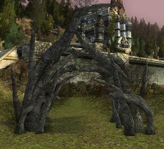 Wose Root Archway