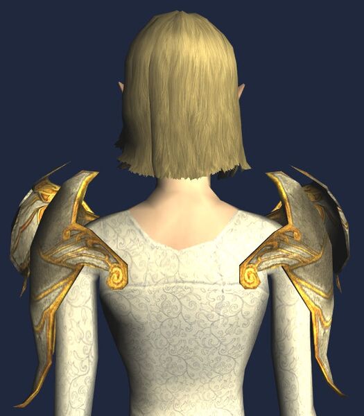 File:Shoulders of the Lady's Power (back).jpg