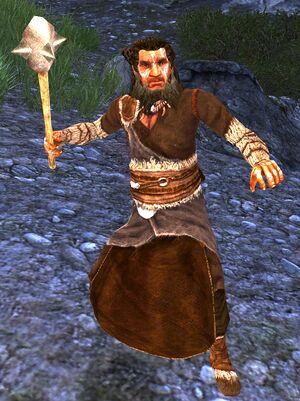 Archer (Helm's Dike) - Lotro-Wiki.com