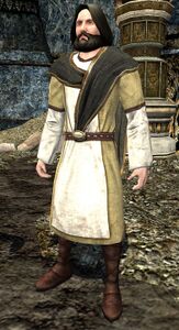 Image of Master of Battle Lore (Pelennor Warrior's Gear Rewards Vendor)