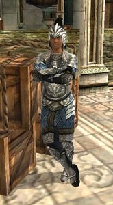 Image of Dol Amroth Quartermaster (Mariner Armour)