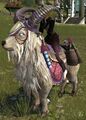 Fireworks-laden Goat
